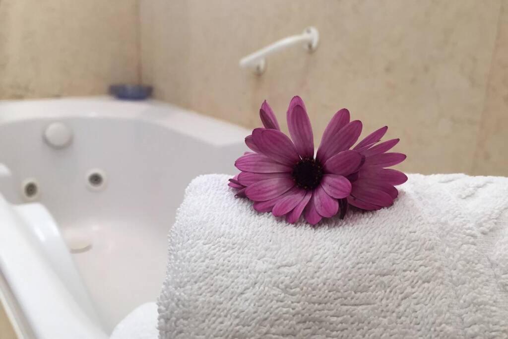Apartament Quinta Barracuda